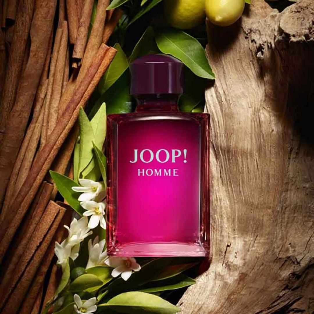 IP No. 29 (Inspired By Joop Homme)