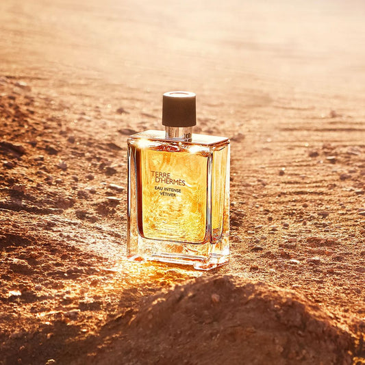 IP No. 151 (Inspired By Terre D'Hermes Eau Intense Vetiver Hermès)